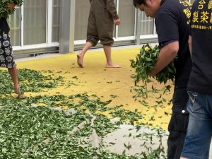 合峰製茶廠/合峰茶業