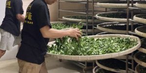 合峰茶業