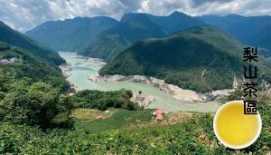 茶葉價格