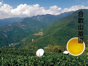 茶葉價格
